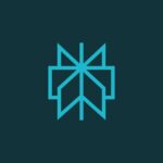 Perplexity AI vs ChatGPT